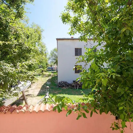 Apartment Drago